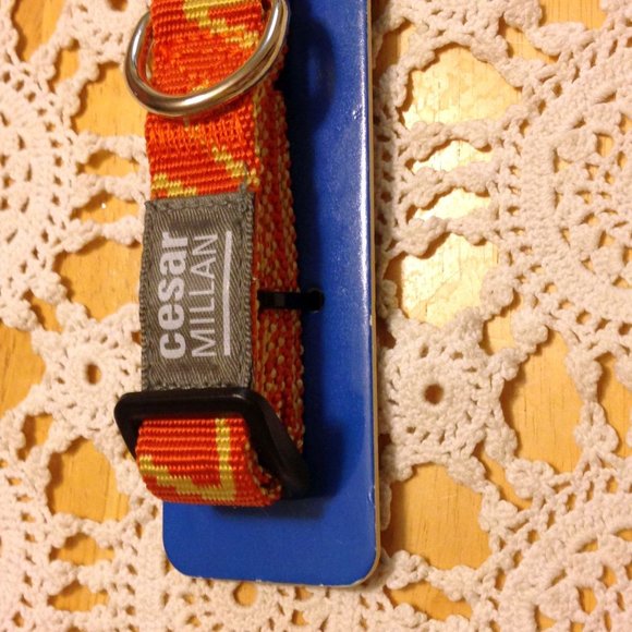 Pet collar, Cesar Milan Dog Collar, orange, 4" to 20" - Picture 2 of 6